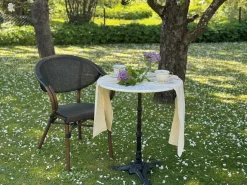 ÄPPELHED CAFÉSTOL